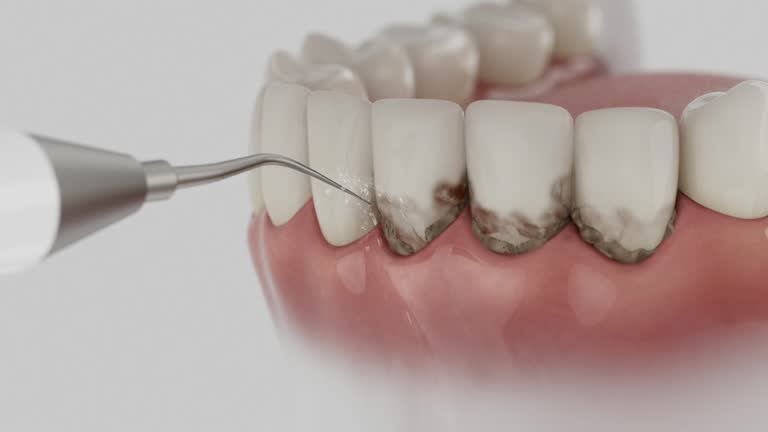 Reliable Dental contractor in Jackson Center, OH by Dentist Open Now
